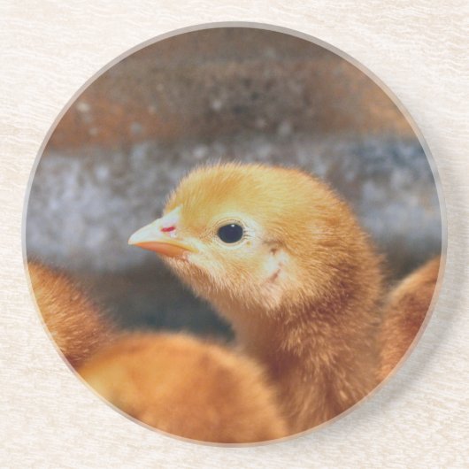 Peep Peep Getränkeuntersetzer (Vorne)