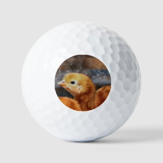Peep Peep Golfball (Vorderseite)