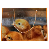 Peep Peep Große Geschenktüte (Vorderseite)