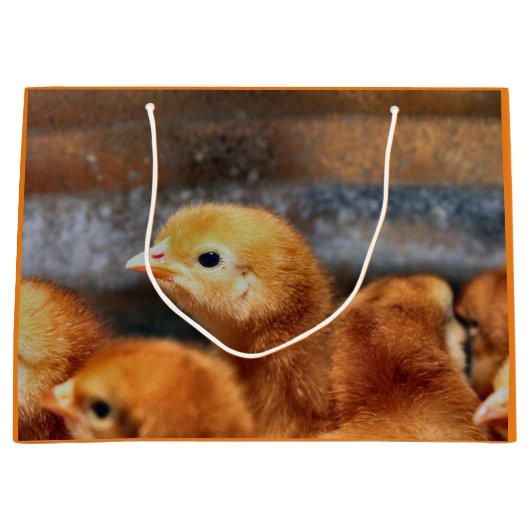 Peep Peep Große Geschenktüte (Vorderseite)