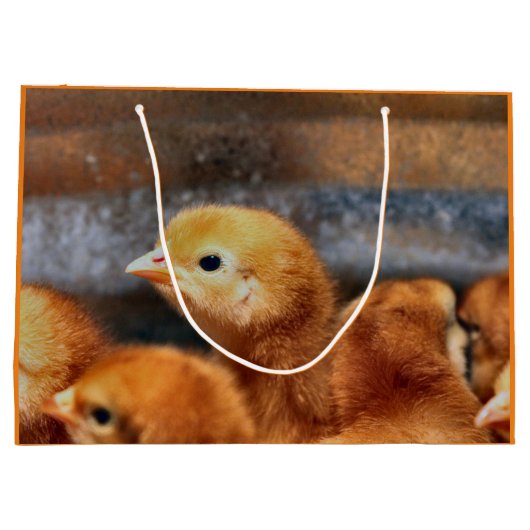 Peep Peep Große Geschenktüte (Rückseite)