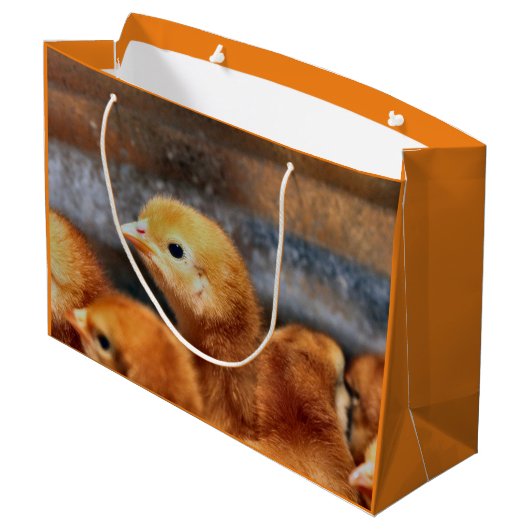 Peep Peep Große Geschenktüte (Rückseite Schrägansicht)