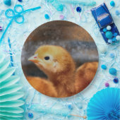 Peep Peep Pappteller (Party)