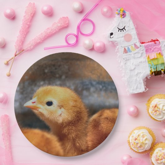 Peep Peep Pappteller (Party)