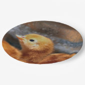 Peep Peep Pappteller (Schrägansicht)