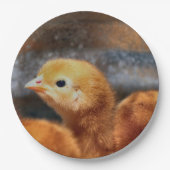 Peep Peep Pappteller (Vorderseite)