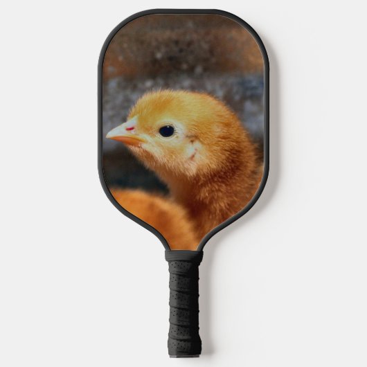 Peep Peep Pickleball Schläger (Vorderseite)