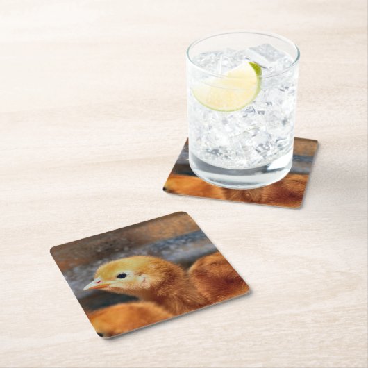 Peep Peep Rechteckiger Pappuntersetzer (Vor Ort)