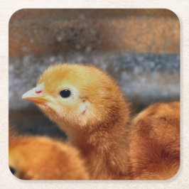 Peep Peep Rechteckiger Pappuntersetzer