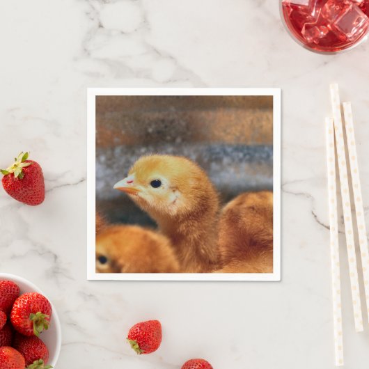 Peep Peep Serviette (Beispiel)