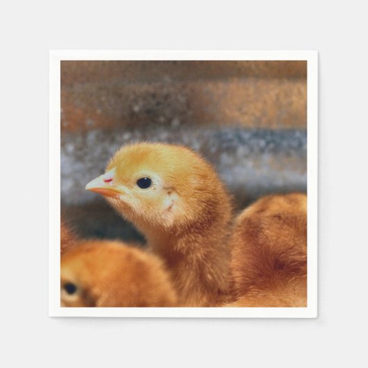 Peep Peep Serviette (Vorderseite)