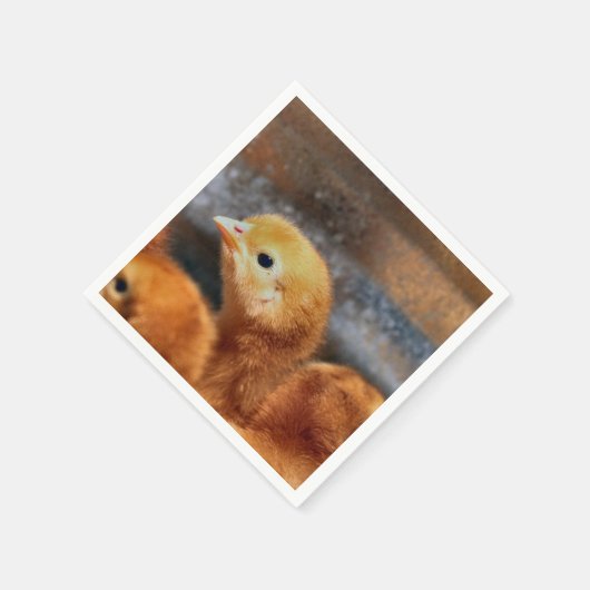 Peep Peep Serviette (Ecke)