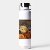 Peep Peep Trinkflasche (Rückseite)