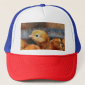 Peep Peep Truckerkappe (Vorderseite)