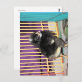 Peep Postkarte (Vorne/Hinten)