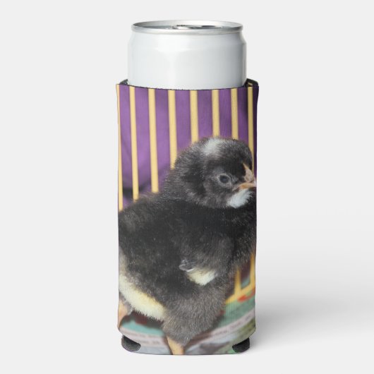 Peep Selters Dosenkühler (Seltzer Vorderseite)