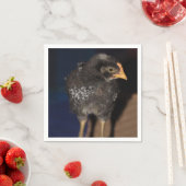 Peep Serviette (Beispiel)