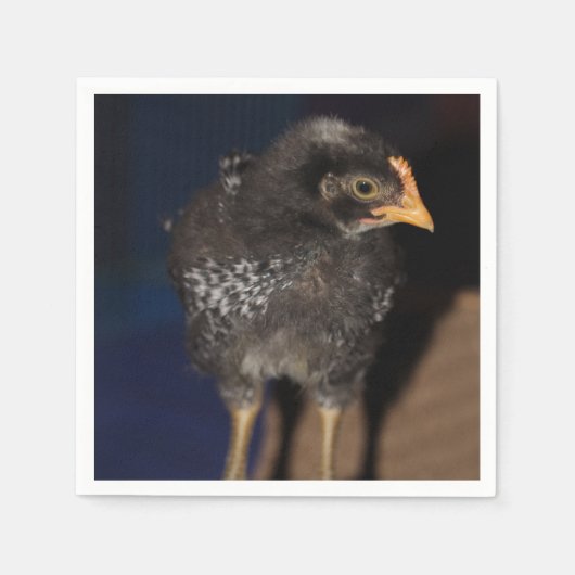 Peep Serviette (Vorderseite)