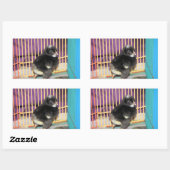 Peep Square Sticker (Blatt)