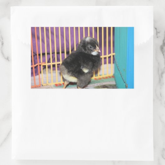 Peep Square Sticker (Tasche)