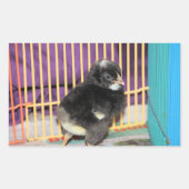 Peep Square Sticker (Vorderseite)