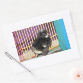 Peep Square Sticker (Umschlag)