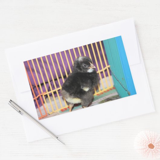 Peep Square Sticker (Umschlag)