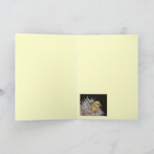 Peep Taxitkarte Karte (Innenseite)