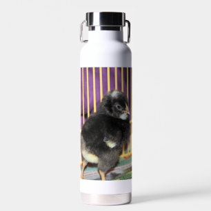 Peep Trinkflasche