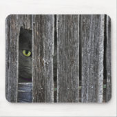 Peepin Tom Mousepad (Vorne)