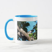 Peeping Bird Mug Tasse (Links)