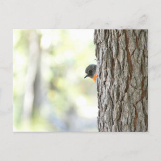 Peeping Bush Robin Card Ankündigungspostkarte