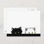 Peeping Kittens Postkarte (Vorne/Hinten)