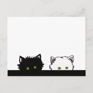 Peeping Kittens Postkarte