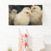 Peeps Banner (Insitu)