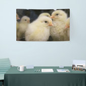 Peeps Banner (Messeveranstaltung)