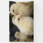 Peeps Banner (Vertikal)