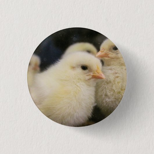 Peeps Button (Vorderseite)
