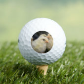 Peeps Golfball (Insitu T-Shirt)