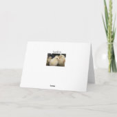 Peeps Karte (Rückseite)