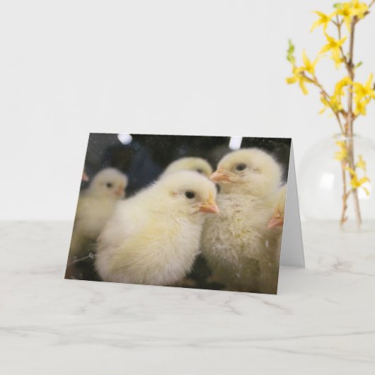 Peeps Karte (Gelbe Blume)