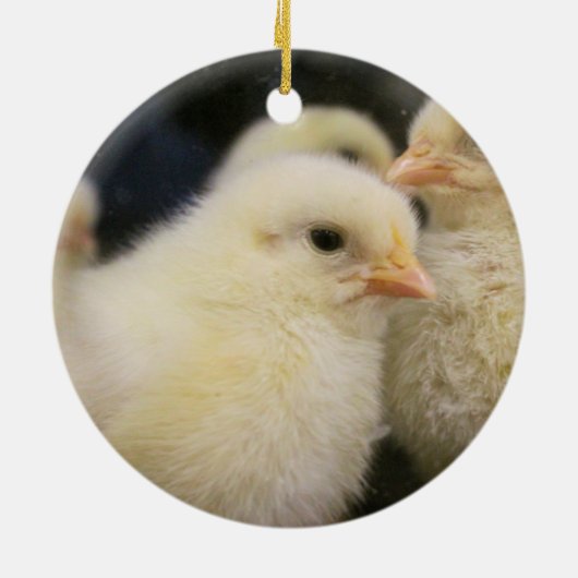 Peeps Keramik Ornament (Hinten)