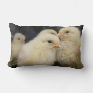 Peeps Lendenkissen