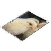 Peeps Notizblock (Linke Seite)