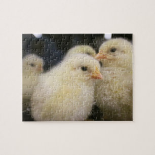 Peeps Puzzle