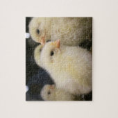 Peeps Puzzle (Vertikal)
