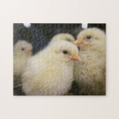 Peeps Puzzle (Horizontal)