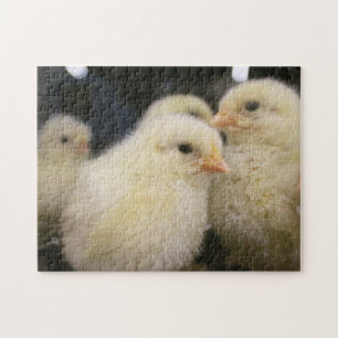 Peeps Puzzle