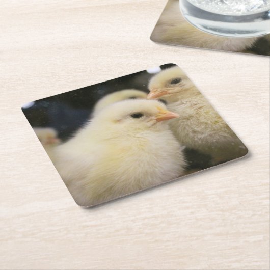 Peeps Rechteckiger Pappuntersetzer (angewinkelt)