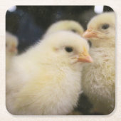 Peeps Rechteckiger Pappuntersetzer (Vorderseite)